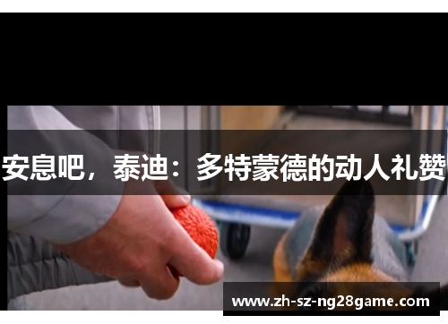 安息吧，泰迪：多特蒙德的动人礼赞