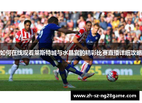如何在线观看莱斯特城与水晶宫的精彩比赛直播详细攻略