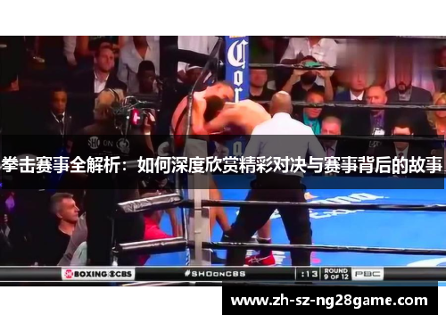 拳击赛事全解析：如何深度欣赏精彩对决与赛事背后的故事