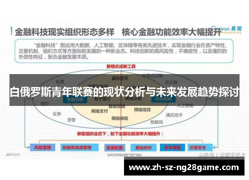 白俄罗斯青年联赛的现状分析与未来发展趋势探讨