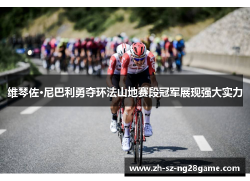维琴佐·尼巴利勇夺环法山地赛段冠军展现强大实力 维琴佐·尼巴利勇夺环法山地赛段冠军展现强大实力